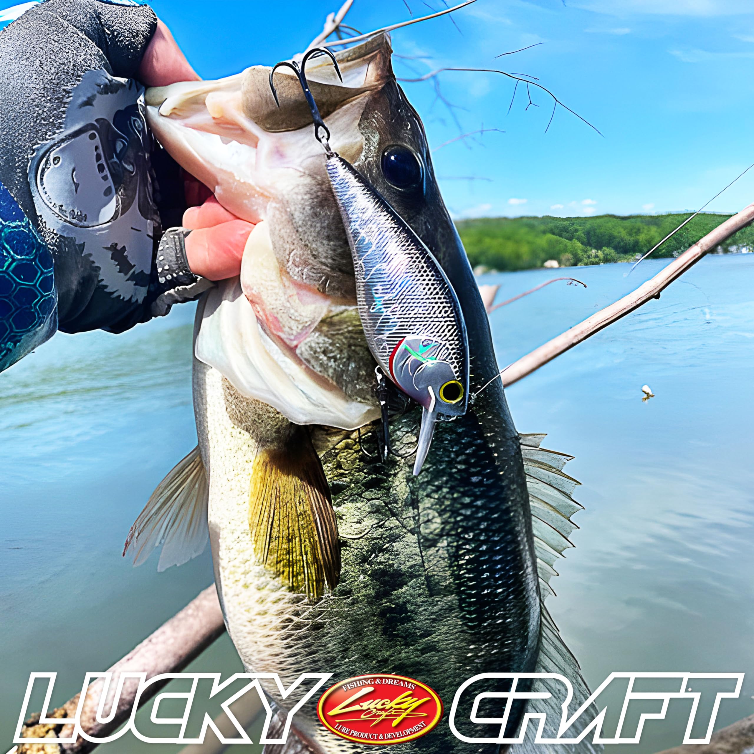 Amazon.co.jp: ラッキークラフト(LUCKY CRAFT)FAT CB BDS6 ~Big Daddy